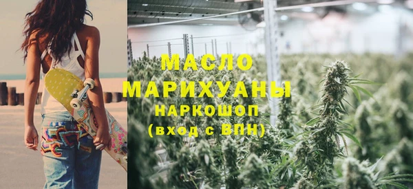 соль ск Инсар