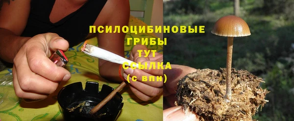 соль ск Инсар