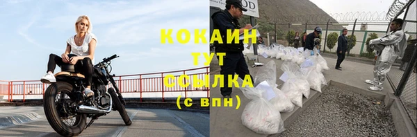 соль ск Инсар