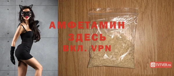соль ск Инсар