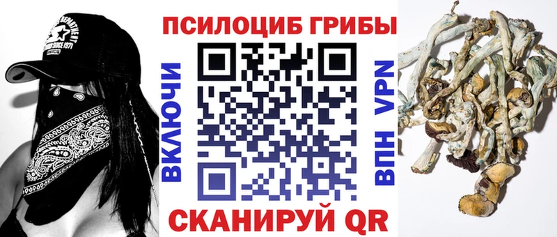 цены наркотик  МЕГА сайт  Псилоцибиновые грибы Psilocybe  Касли 