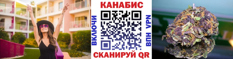 как найти наркотики  Касли  Бошки марихуана сатива 